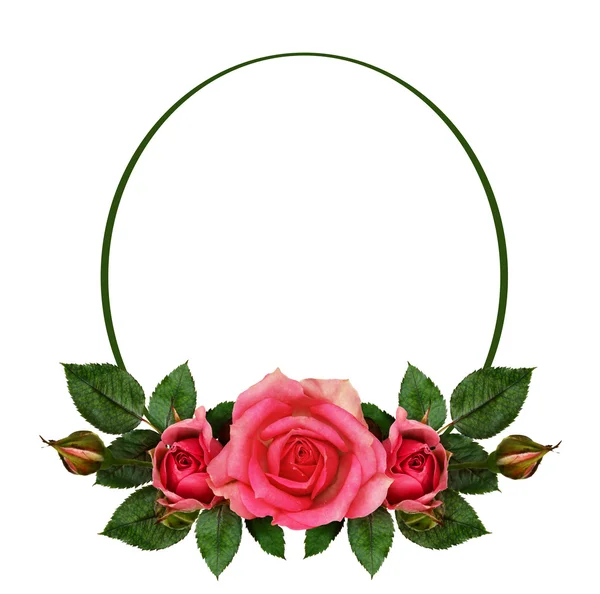 Rosa flores marco oval y composición —  Fotos de Stock
